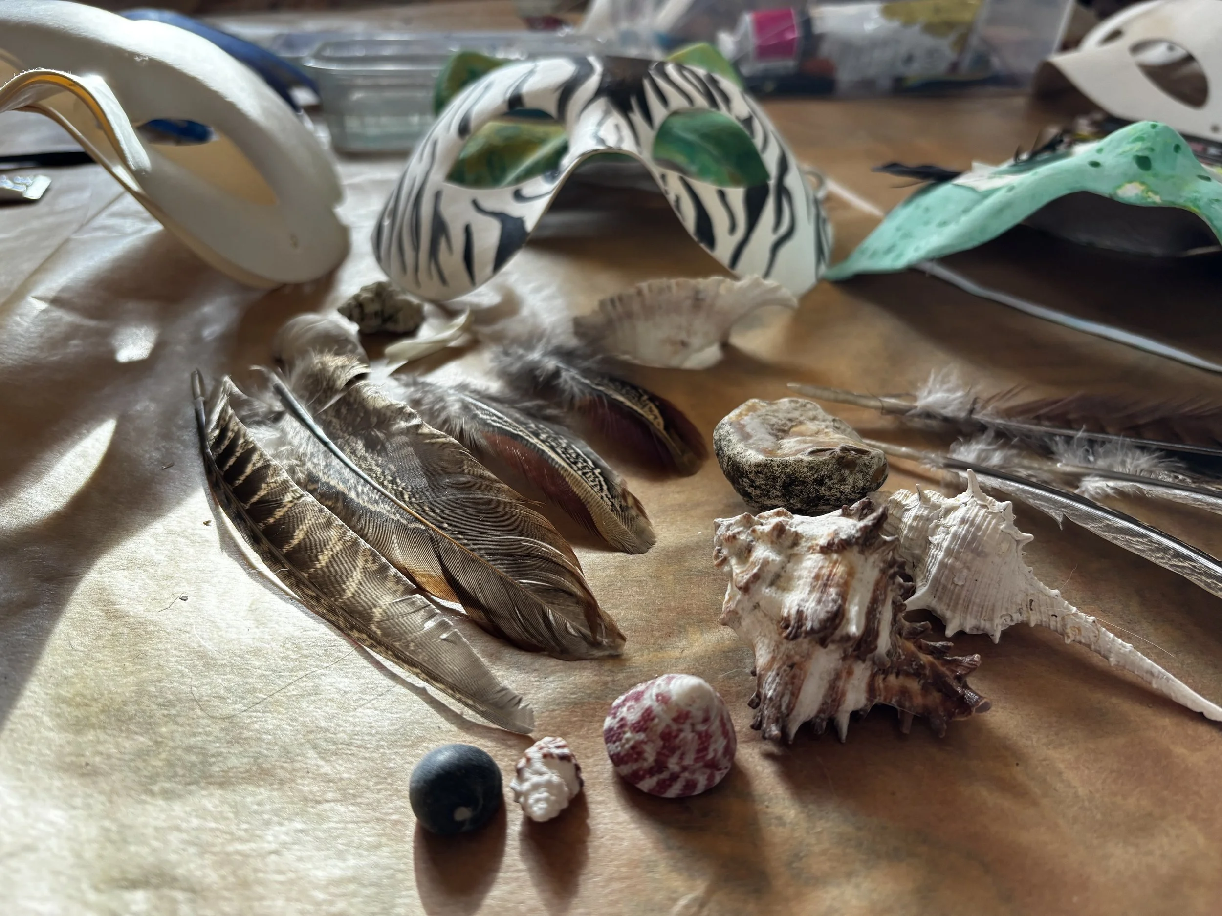 Natures Faces - Wild Craft and Maskmaking