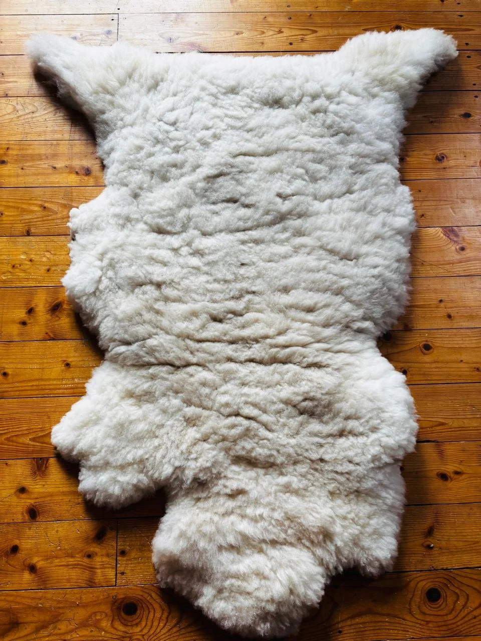 sheepskin 6.jpeg