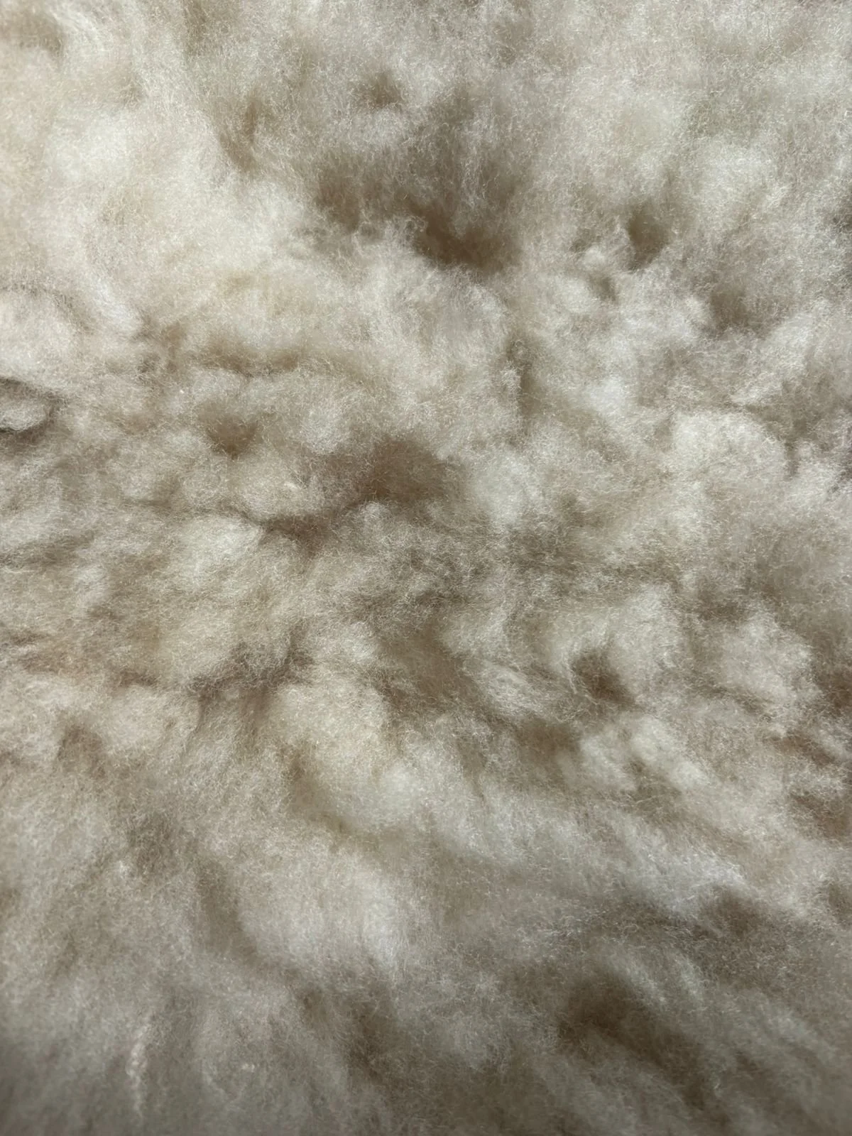 sheepskin pic 2.jpeg