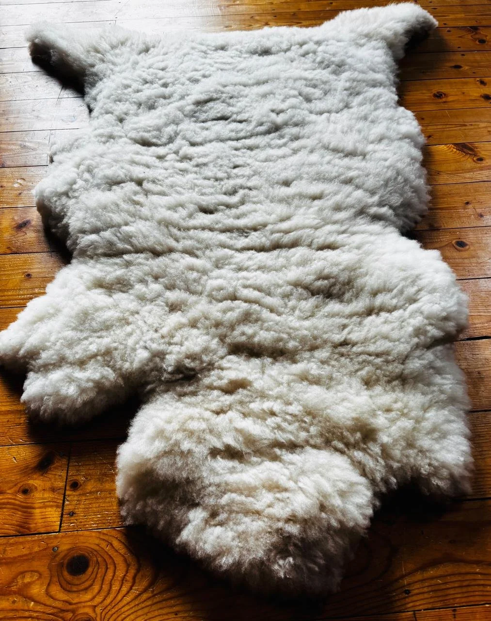 Sheepskin 5.jpeg