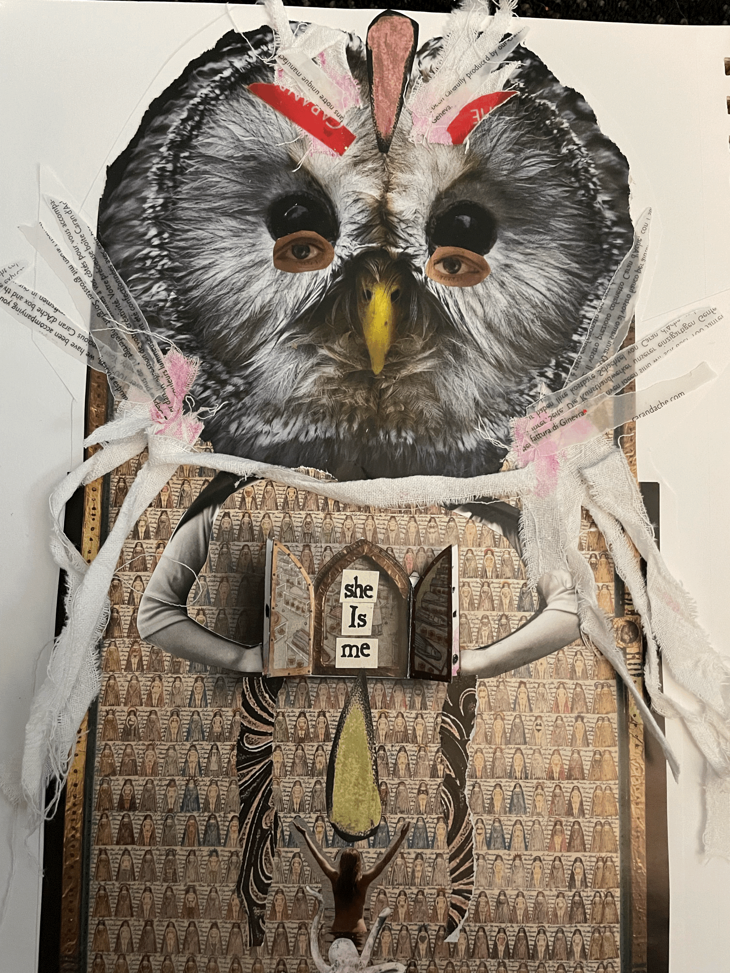 Mixed-media collage artwork featuring an owl face with human eyes, a female figure with the words 'she is me' on her chest, a zebra pattern, and various textured materials.
