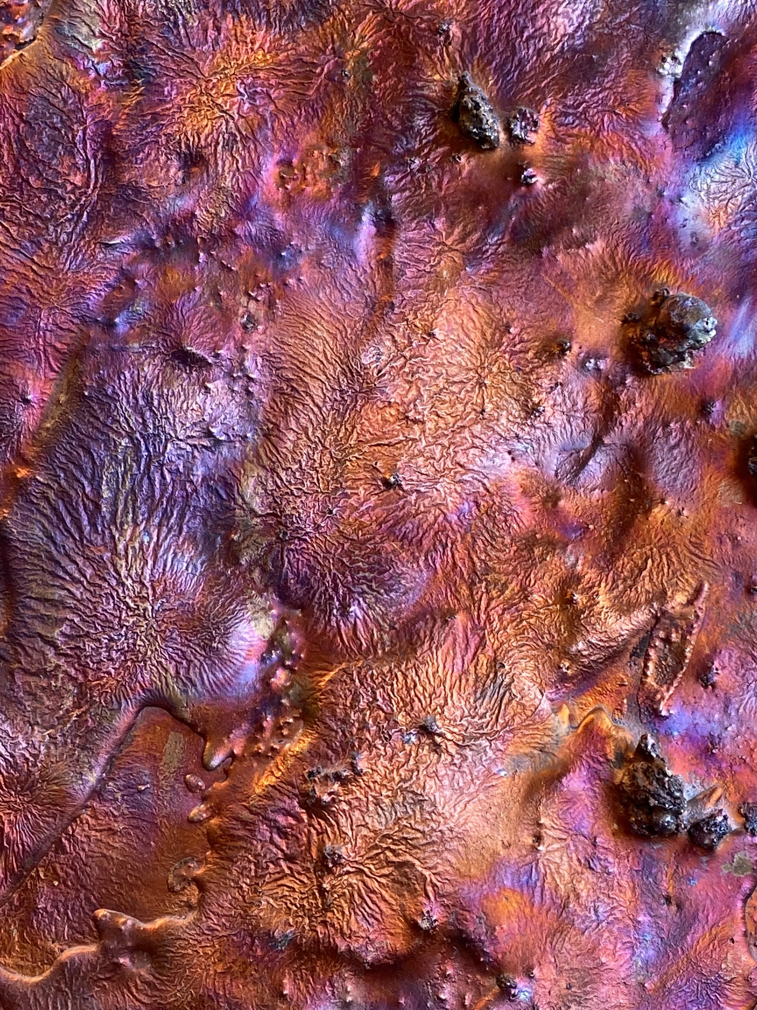 Close-up of a textured, colorful surface with shades of purple, orange, and pink, featuring small protrusions and cracks.