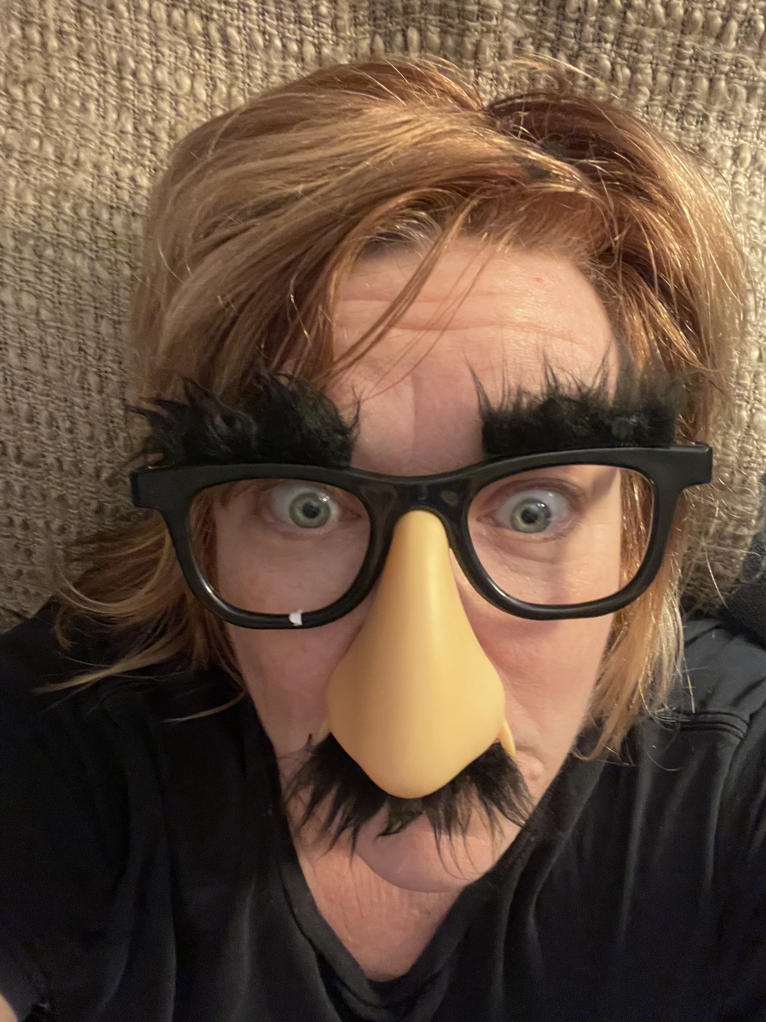 Person wearing novelty glasses with fake eyebrows, a large nose, and a fake mustache, sitting against a textured wall.