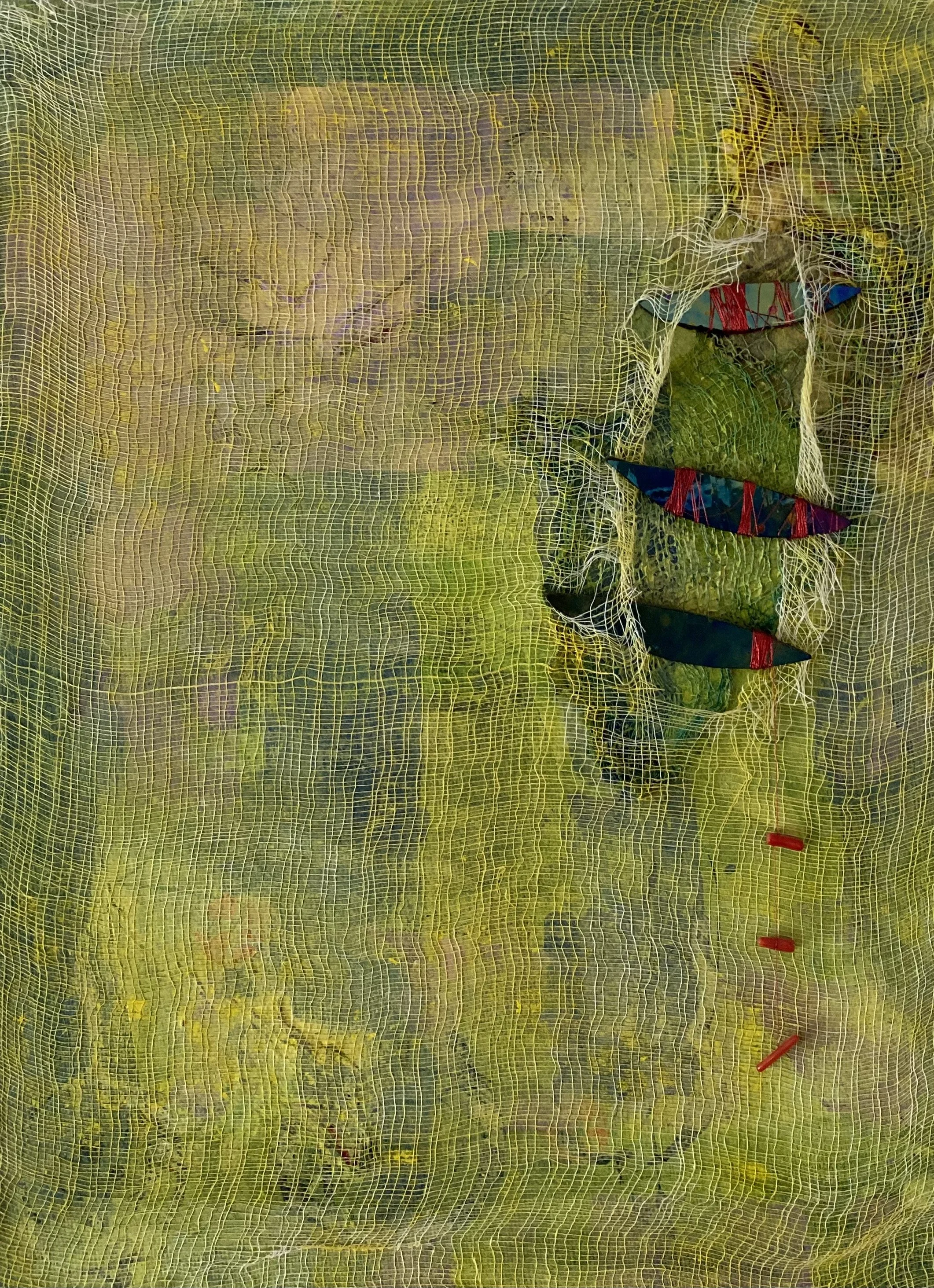 A close-up of a tree trunk with a damaged area covered by a colorful cloth patch, surrounded by yellowish-green moss and bark.