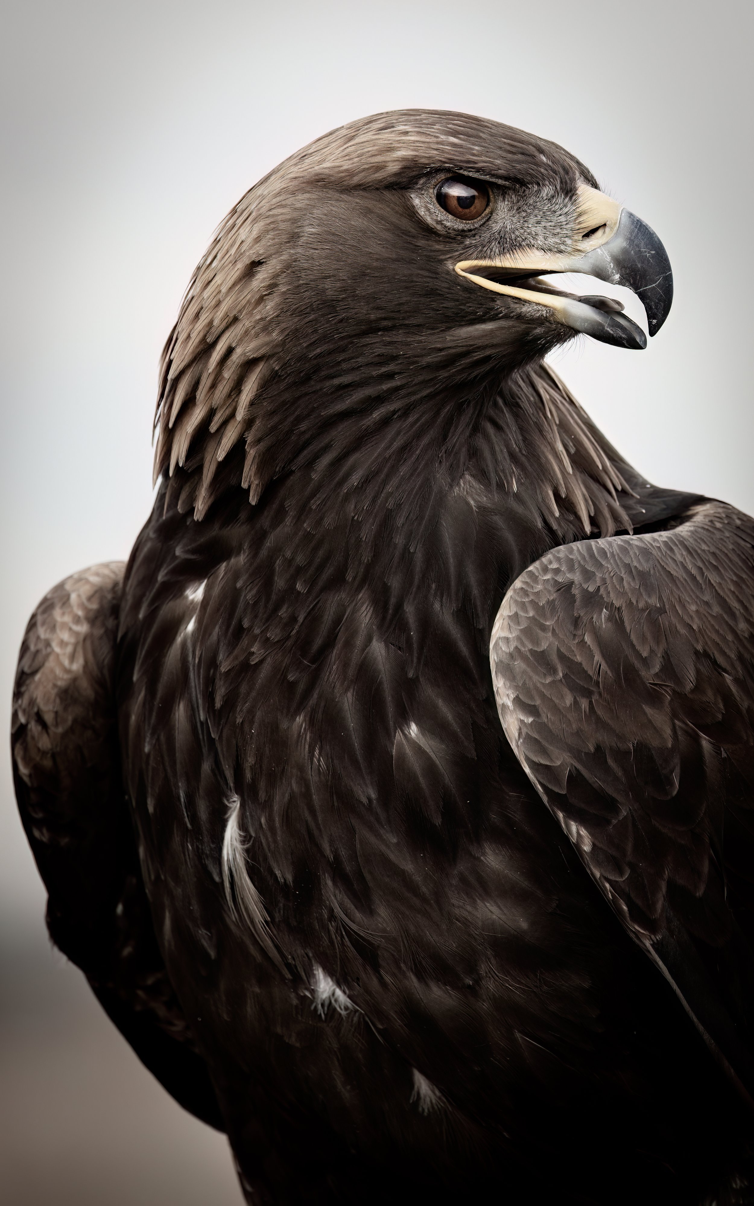 20231218-_X8A6175-Edit.jpeg