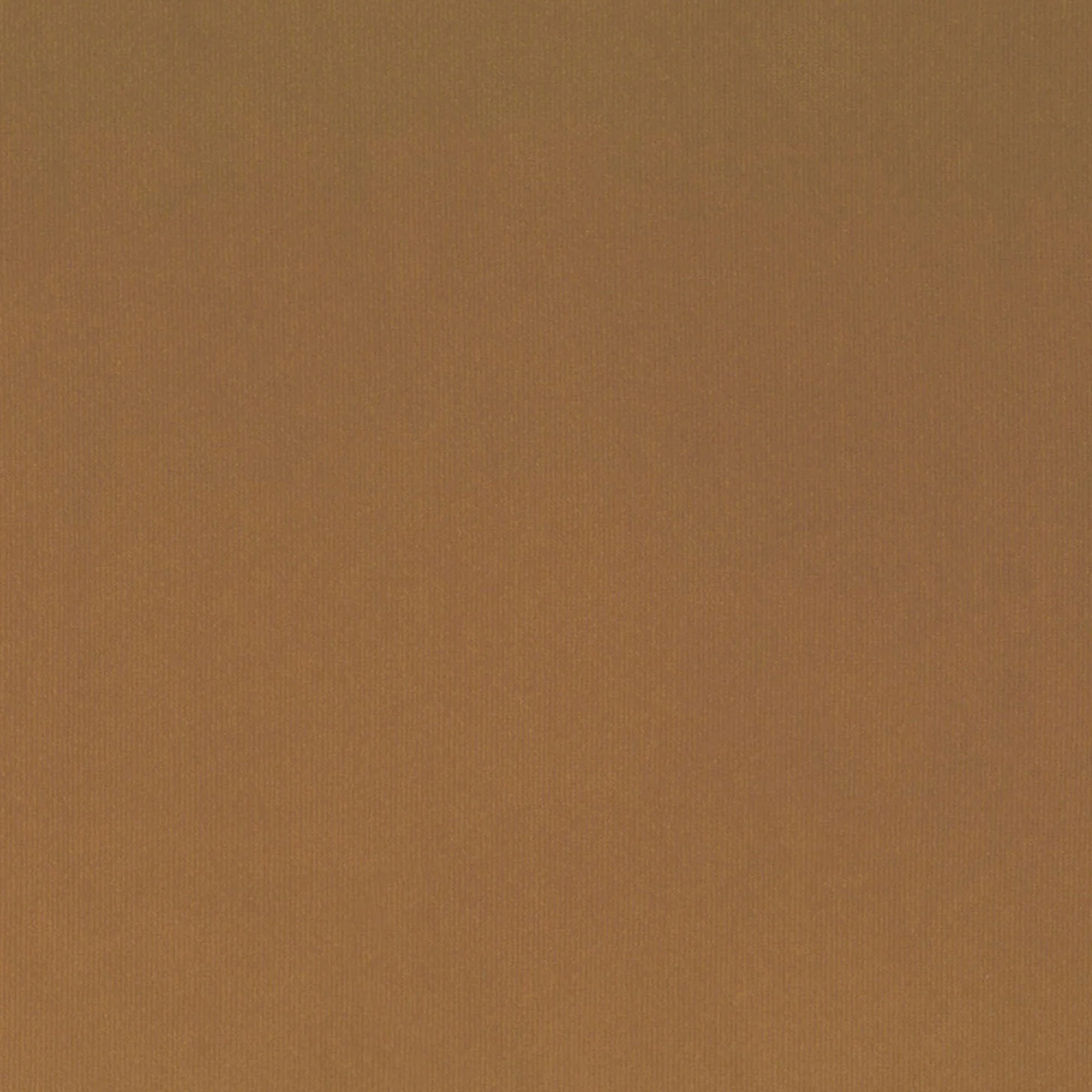 Close-up of a caramel fabric.