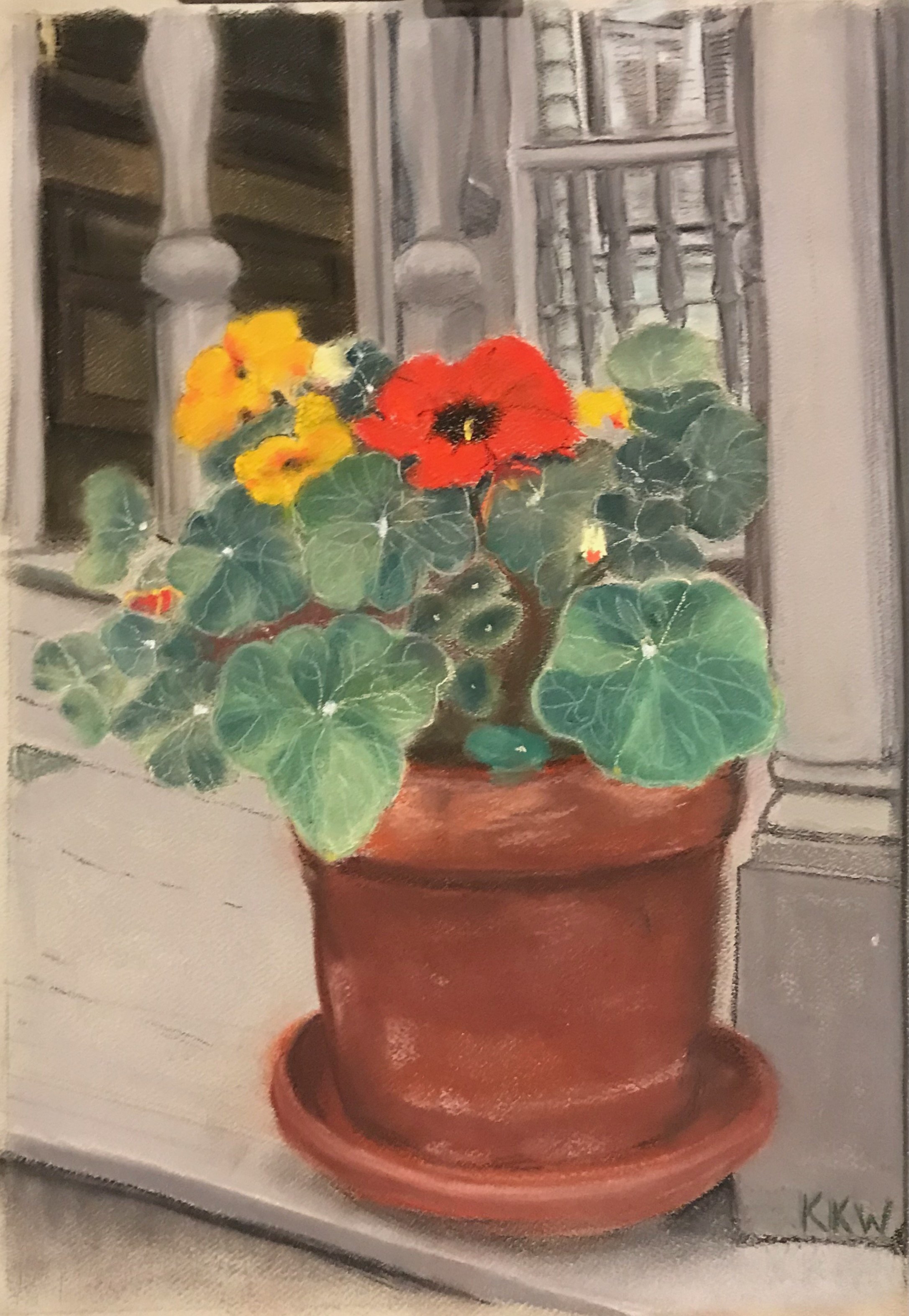 Neighbor_sNasturtium.Sold.jpeg