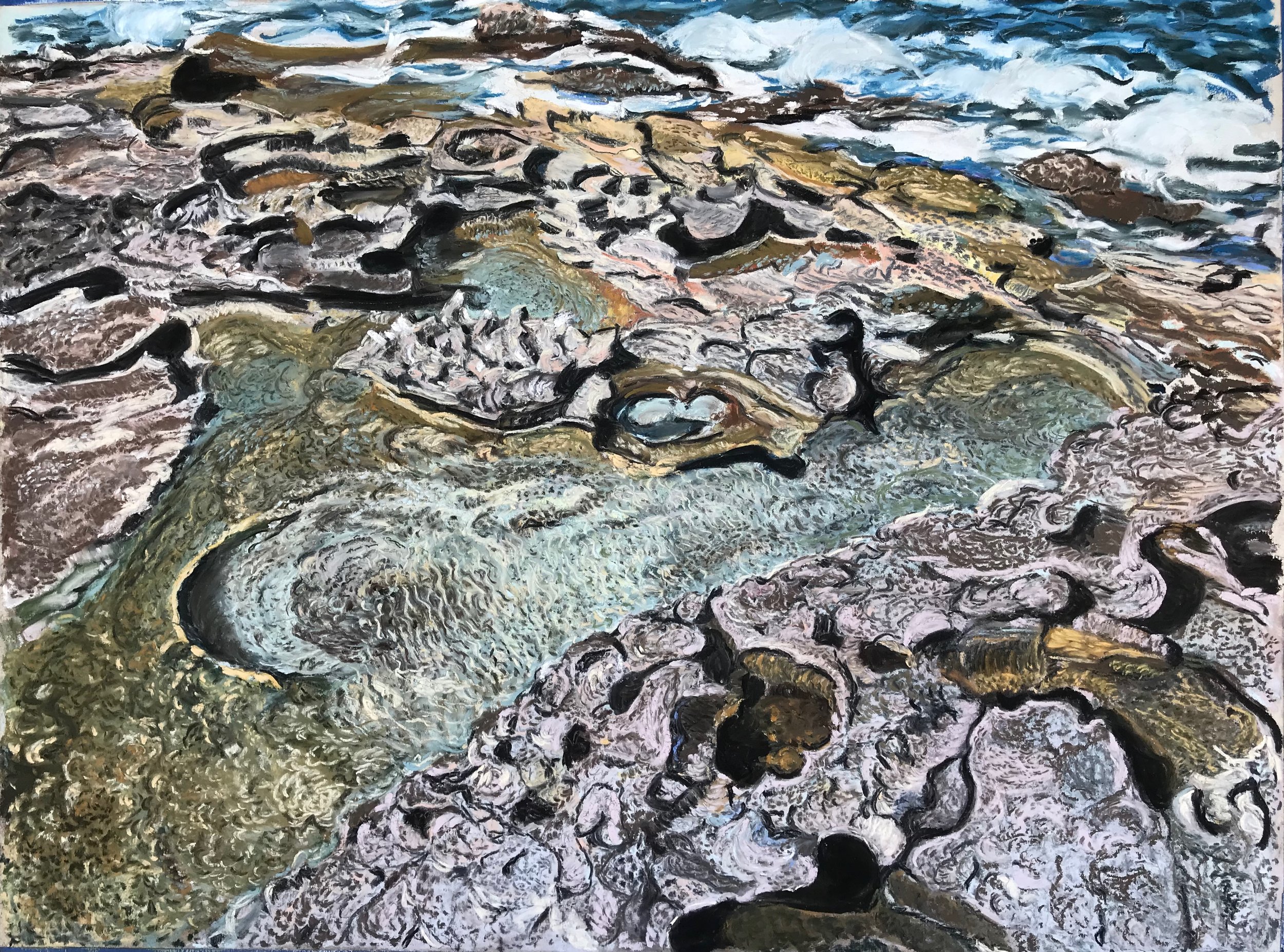 TidalPools.jpeg