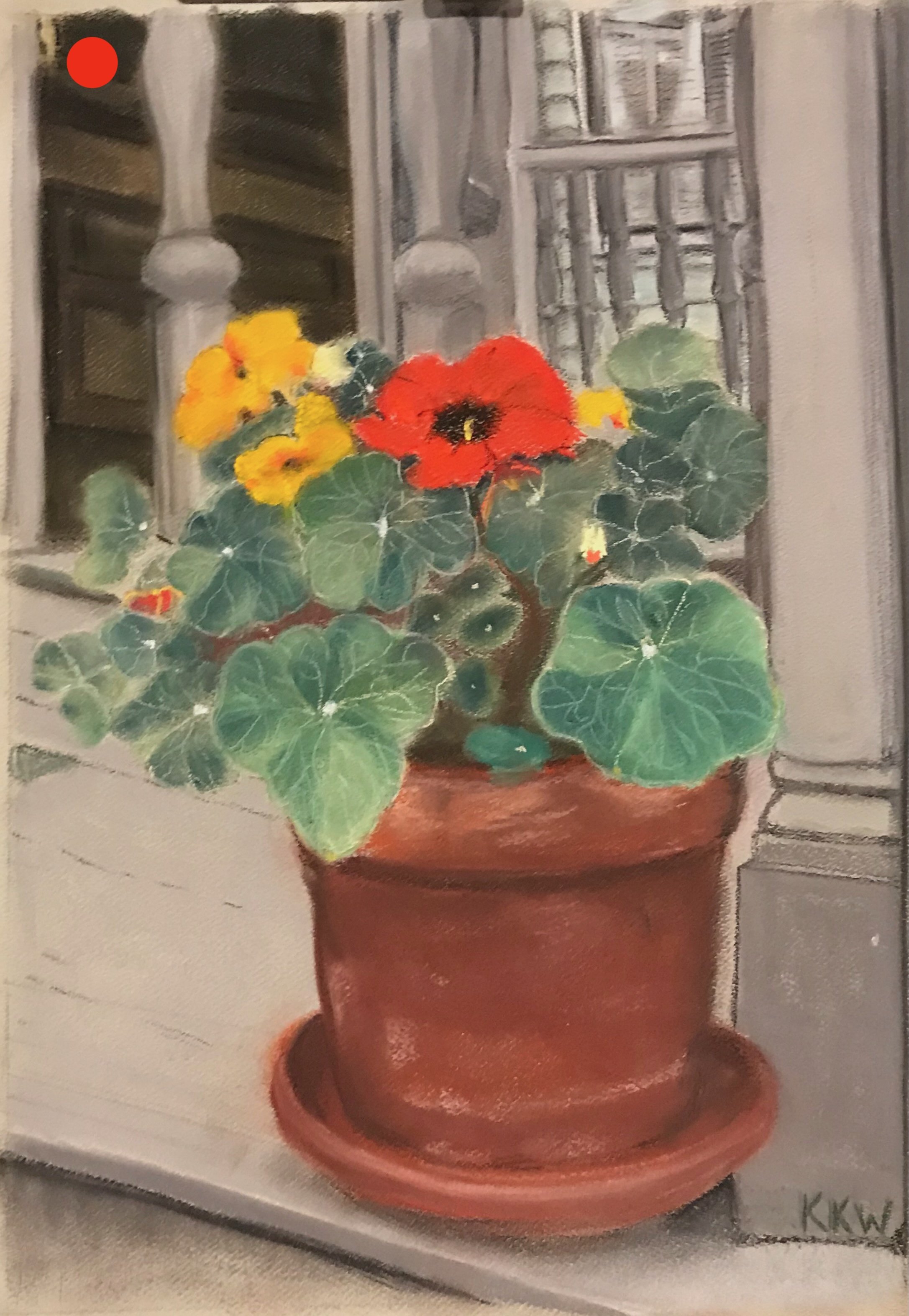 "Neighbor's Nasturtium", 2018, From a Cambridge neighbor's porch. SOLD. Soft pastel on acid-free. premium-grade sanded pastel paper. Image: 8.25" x 11".