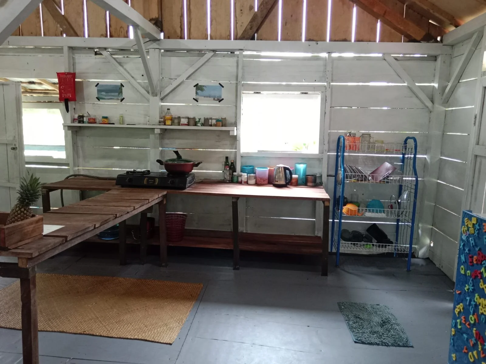 IMG-20250804-WA0019.jpg
