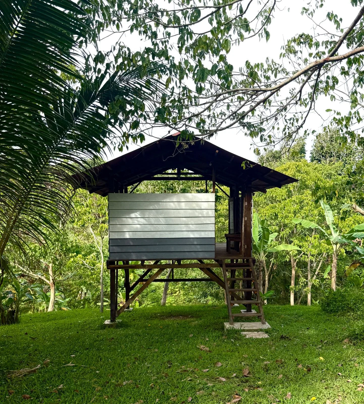 Jungle Echo wooden bungalow, eco jungle stay, tropical wooden cabin, nature retreat bungalow, rainforest getaway, sustainable jungle lodge, rustic wooden villa