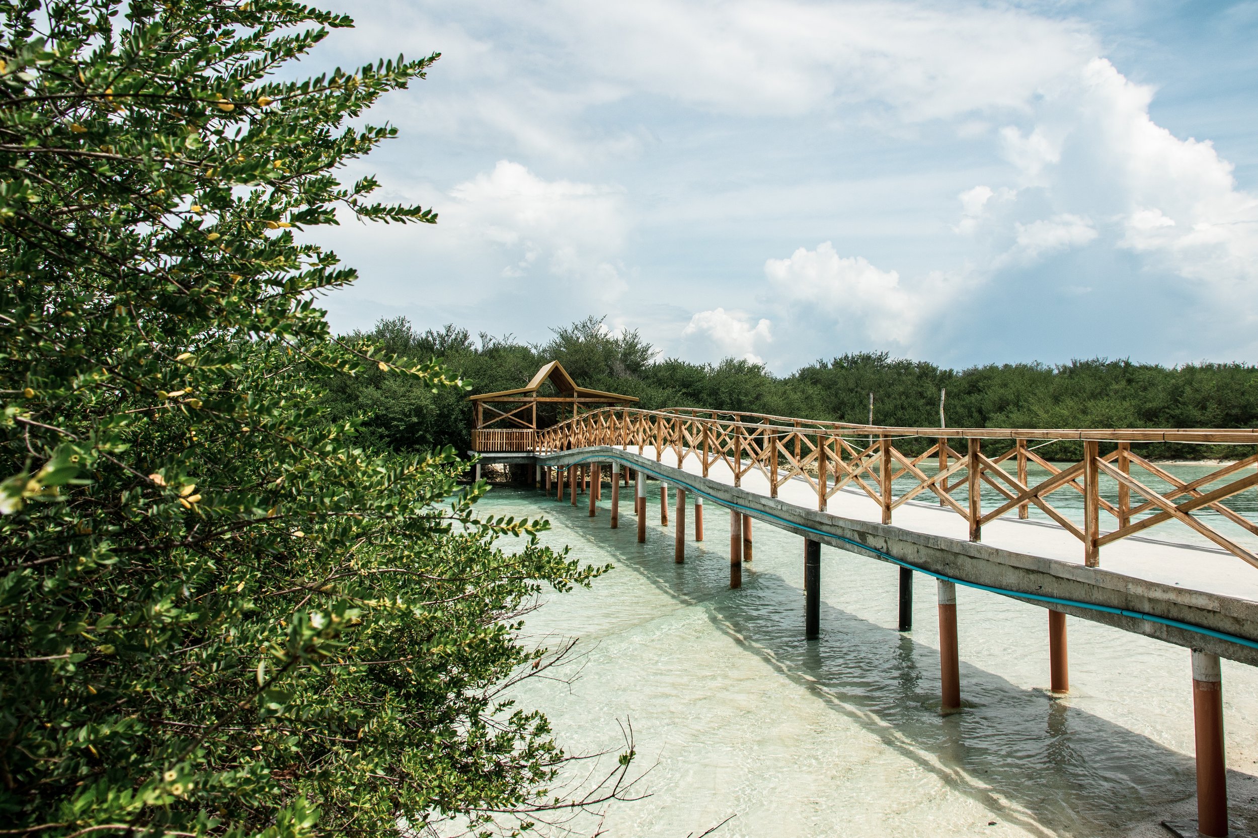 Wooden bridge over clear shallow water with trees and cloudy sky.