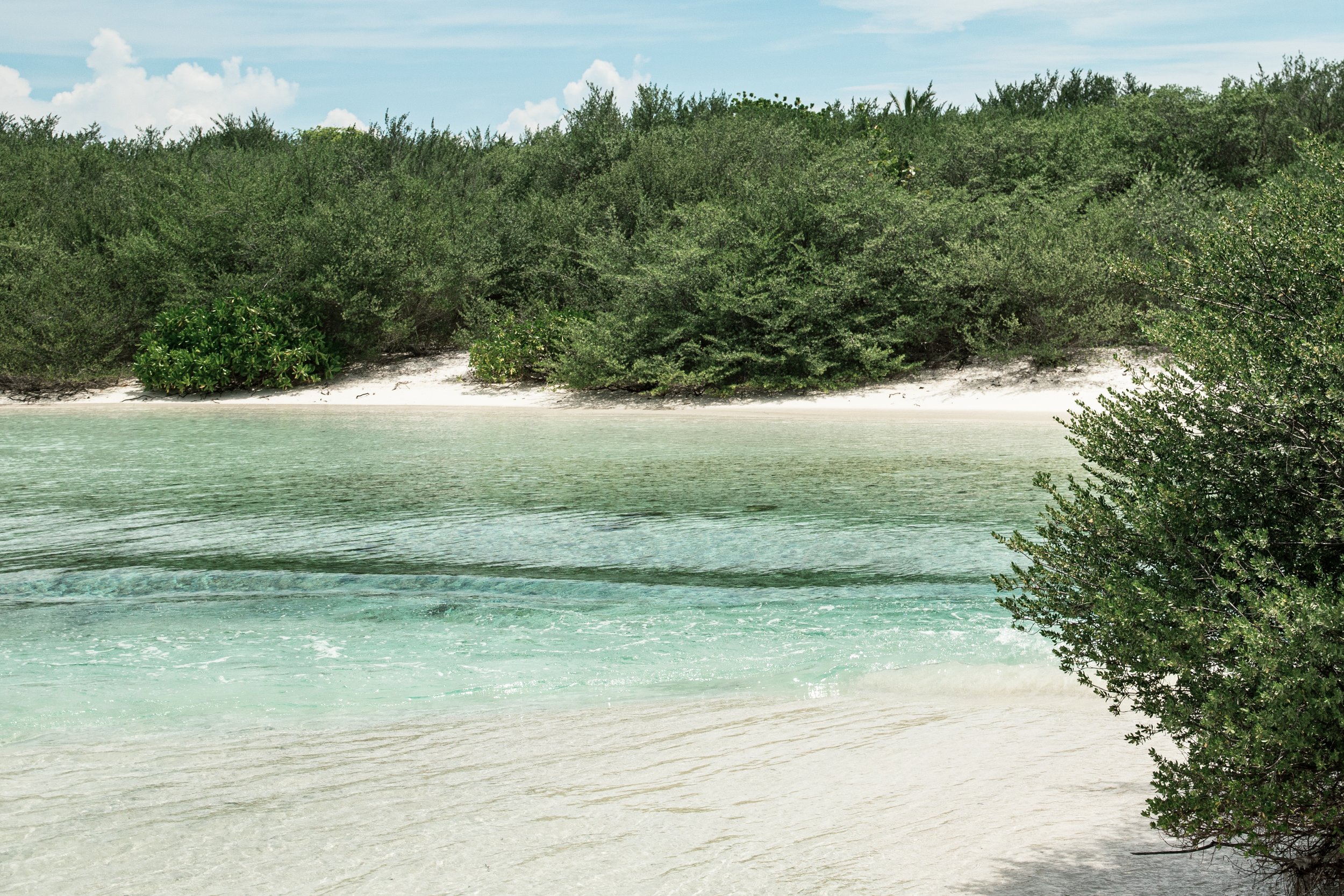 Tropical beach with clear turquoise water and lush green vegetation