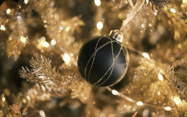 Year in Review - A Defining Year for Property Investors and REALM 47