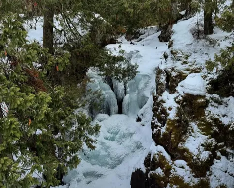 February Meeting Minutes 2026