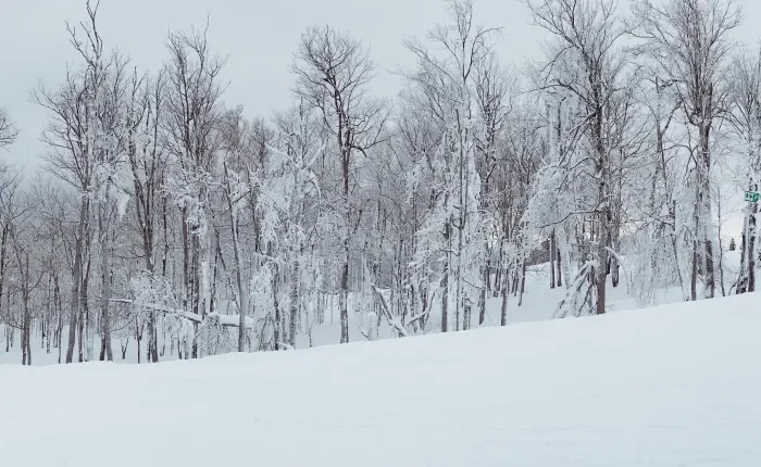 January meeting minutes 2025