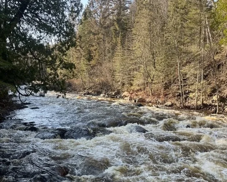 June meeting minutes 2025