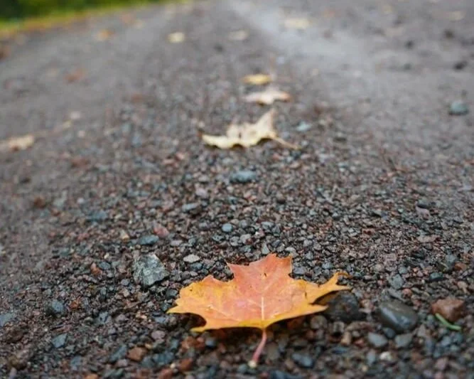 August regular meeting 2025