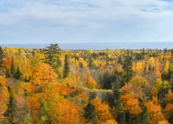 Continued Annual meeting minutes 2025