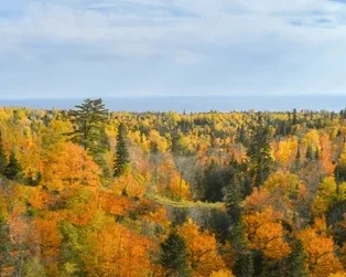 Continued annual meeting agenda 2025