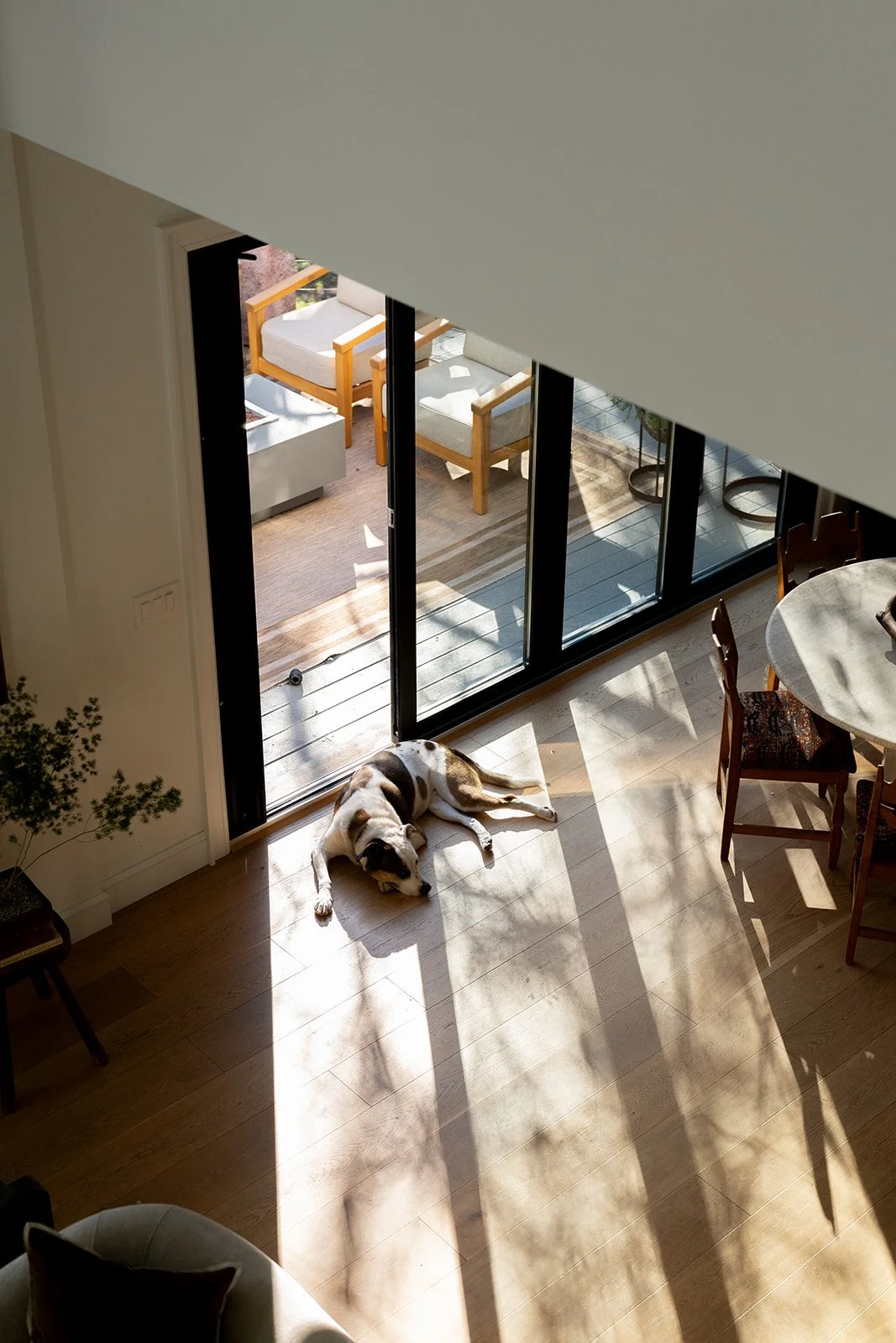 CRUZ-Aden lane-interiors-7303560.jpg