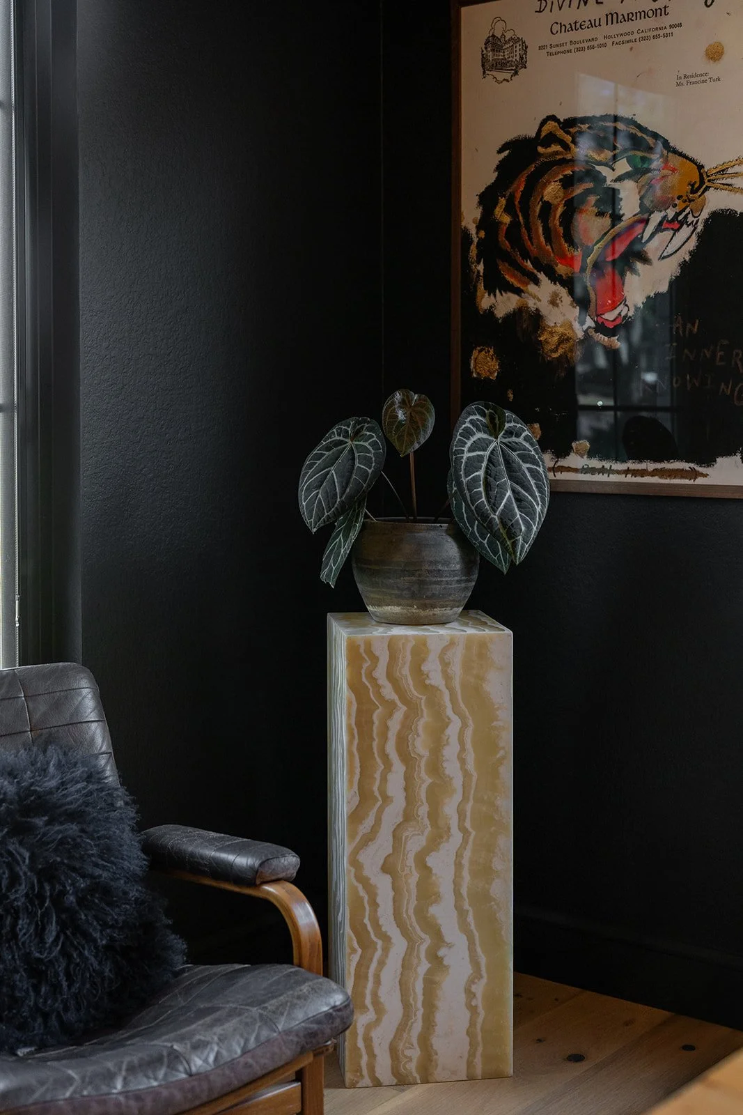 CRUZ-Aden lane-interiors-7303760.jpg