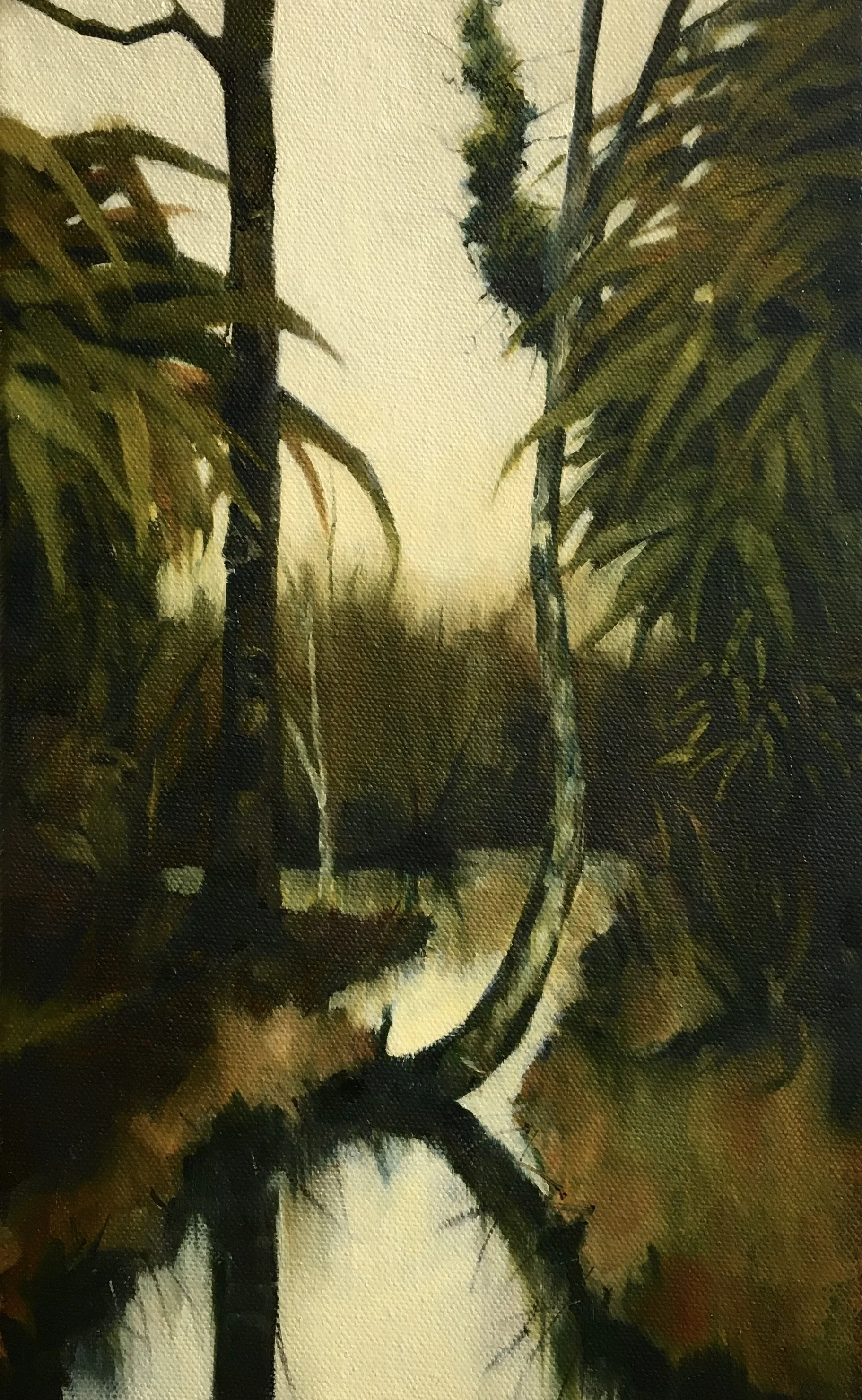 Sheltered - Oil on canvas 2021 20x32cm £500