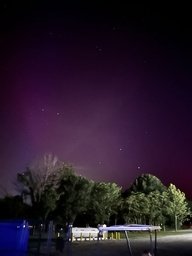 Night sky with purple aurora and stars above trees.