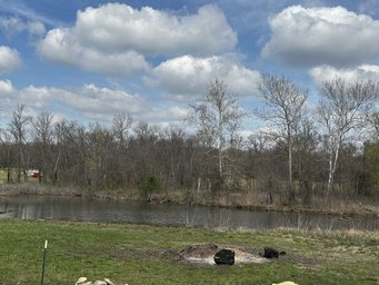 Scenic view of a grassy area and a small pond with surrounding trees under a partially cloudy sky.