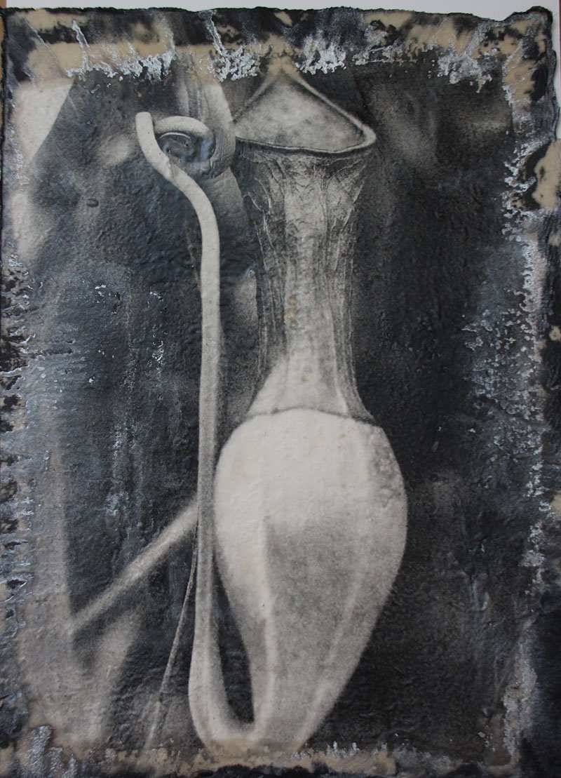 Patricia Sciallo
