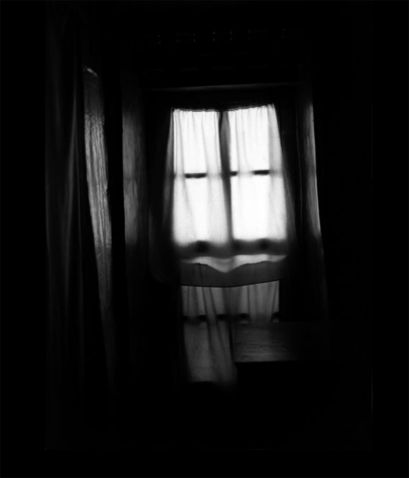 Kris Snibbe