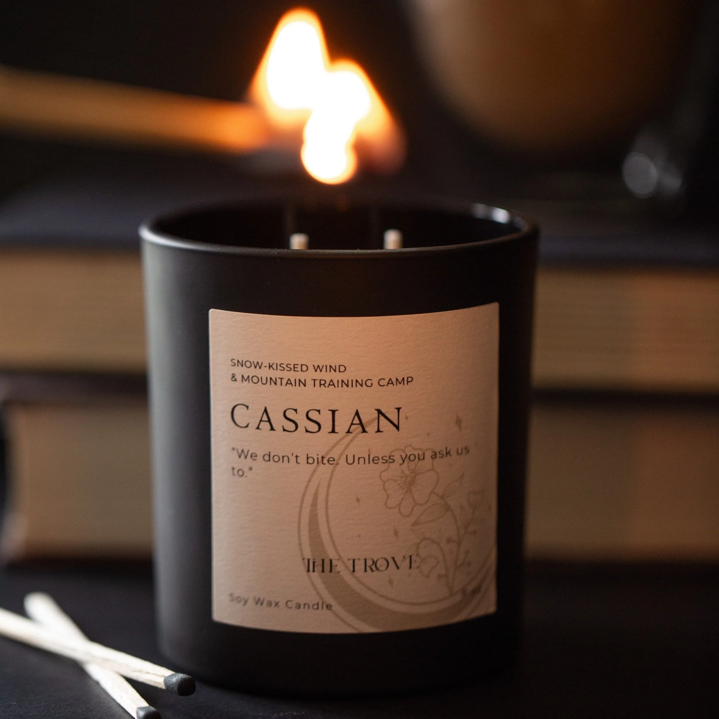 Cssian_ACOTAR_4.jpg