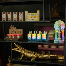 Se7en sins tattoo, de beste tattooshop van Friesland gelegen nabij Heerenveen, Sneek en Leeuwarden. Na zorg producten voor tattoos