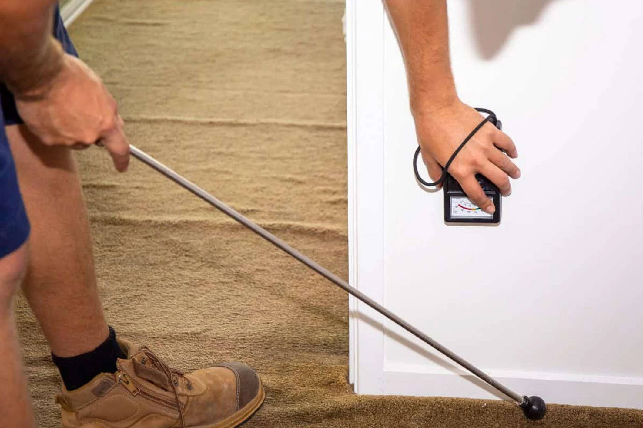 Your Trusted Partner for Effective Pest Management Solutions