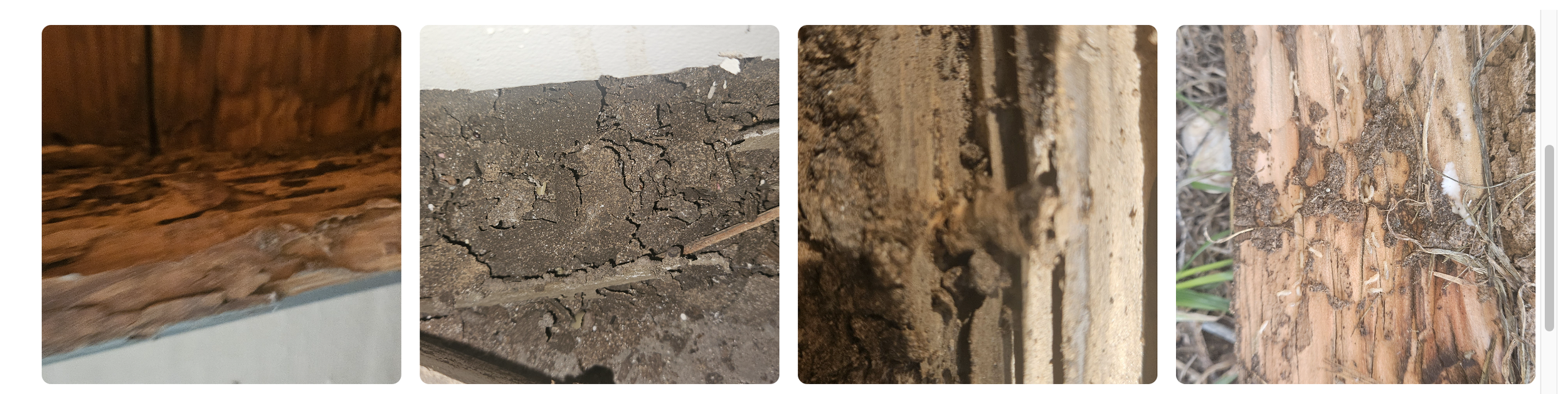 Screenshot 2026-04-13 at 9.30.31 AM.png