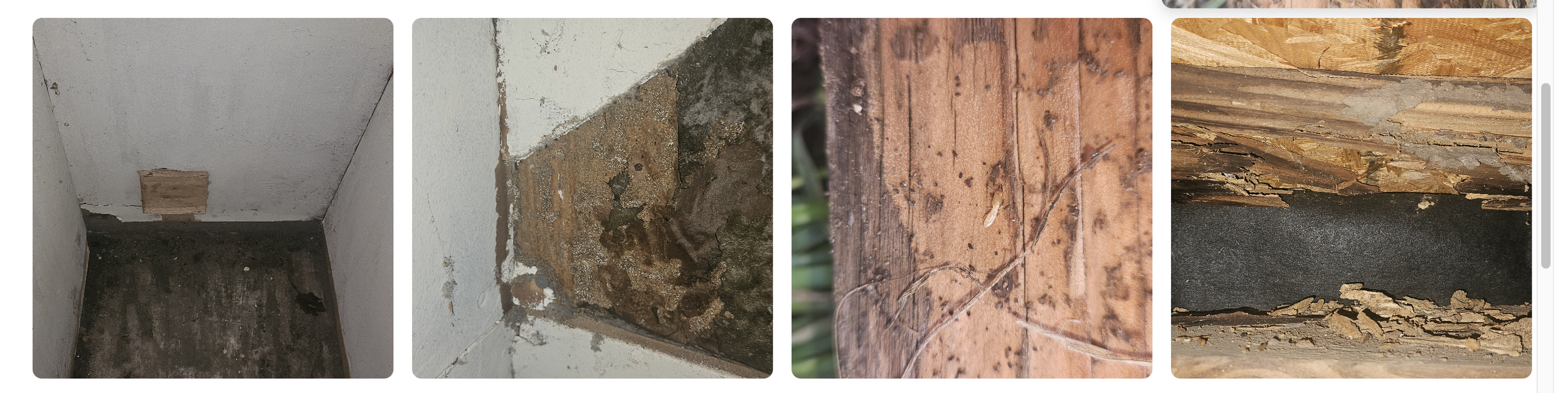 Screenshot 2026-04-13 at 9.30.40 AM.png