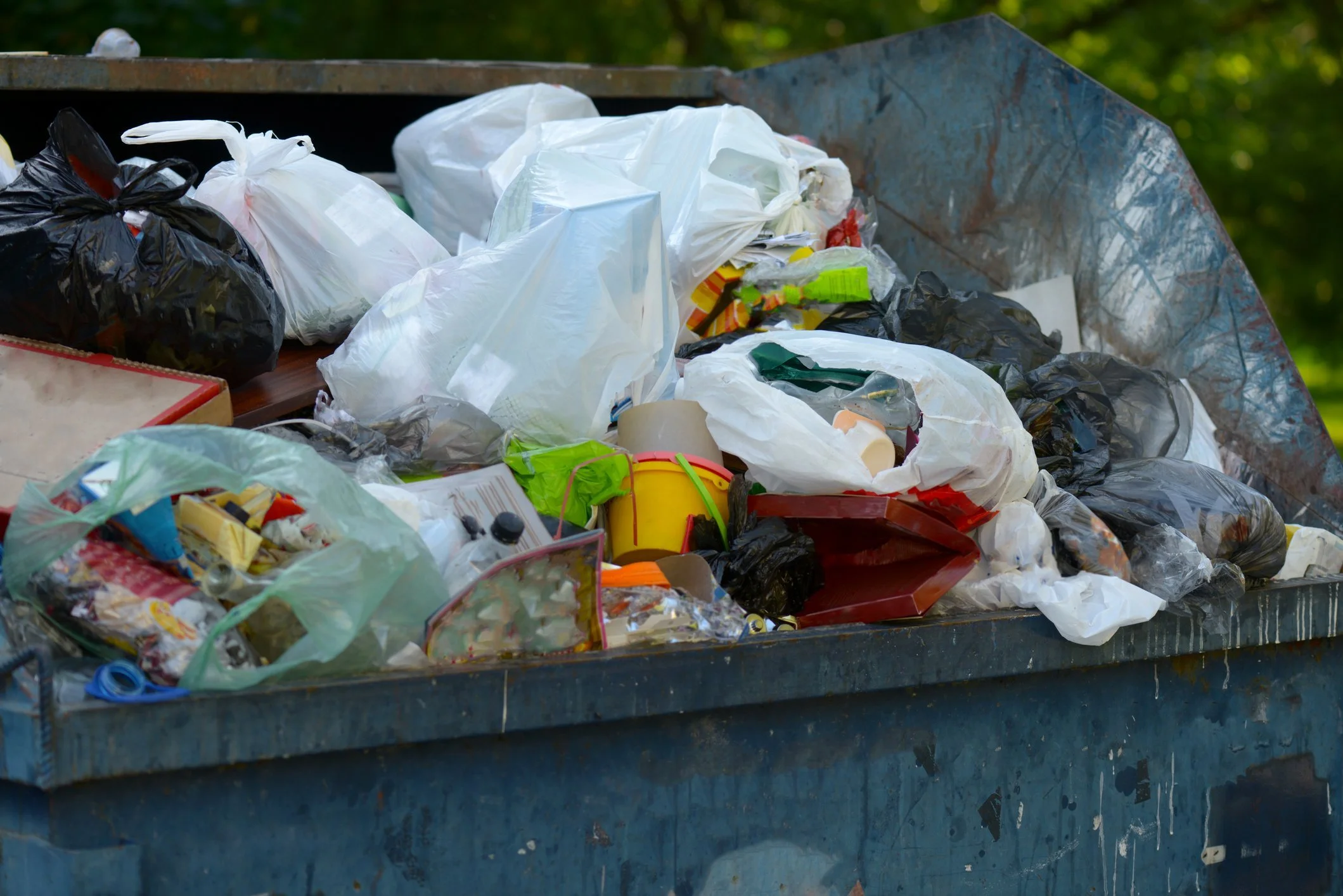 Poll-Finds-House-and-Blow-Flies-Top-Dumpster-Concerns.jpg
