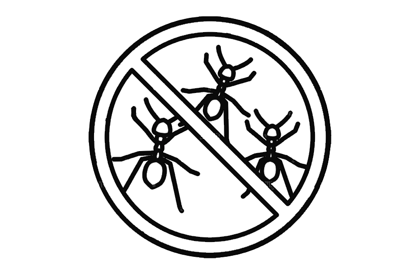 Preventative Ant Treatments for Septic Systems