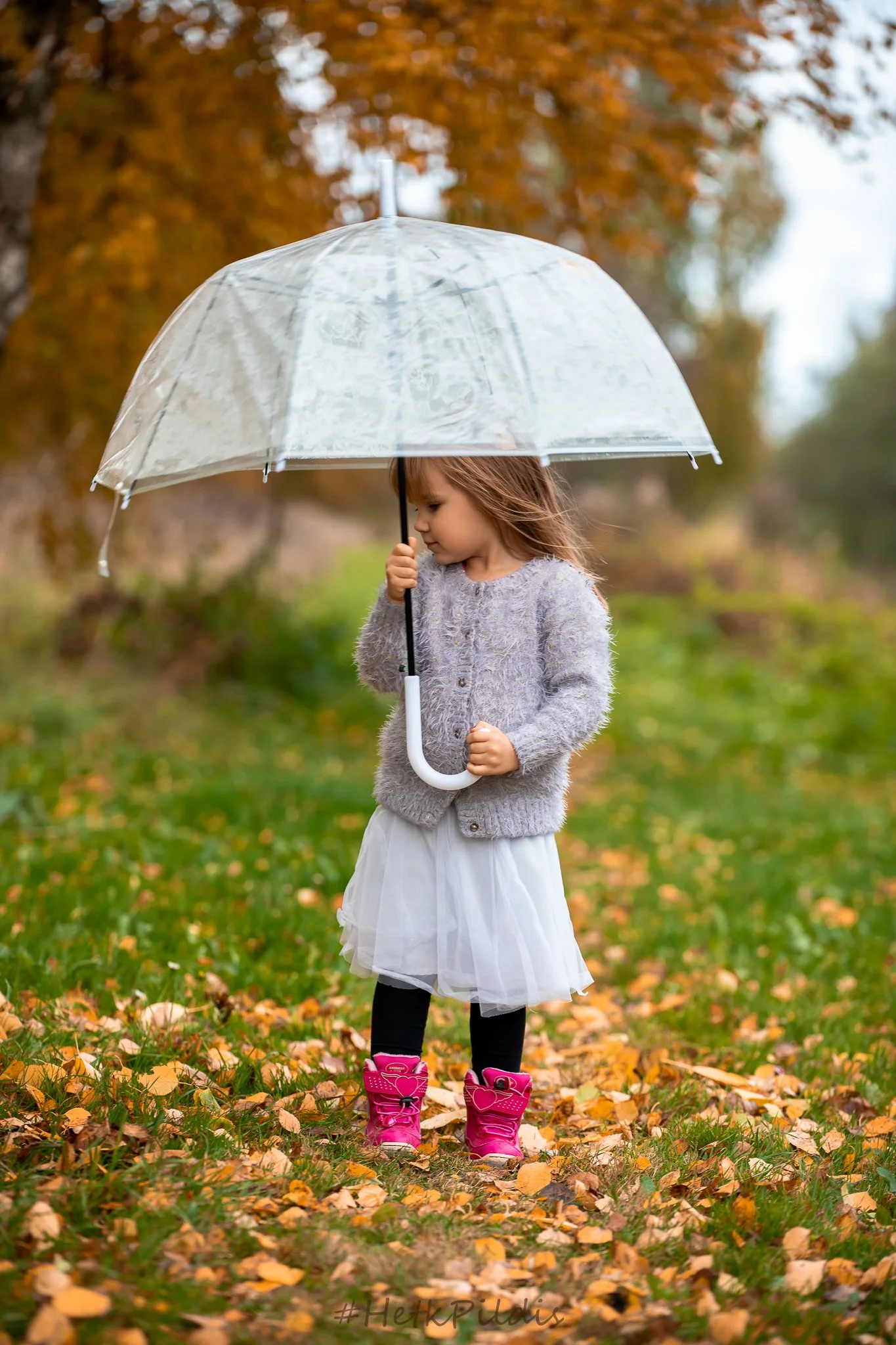 1Y3A1412-2.jpg