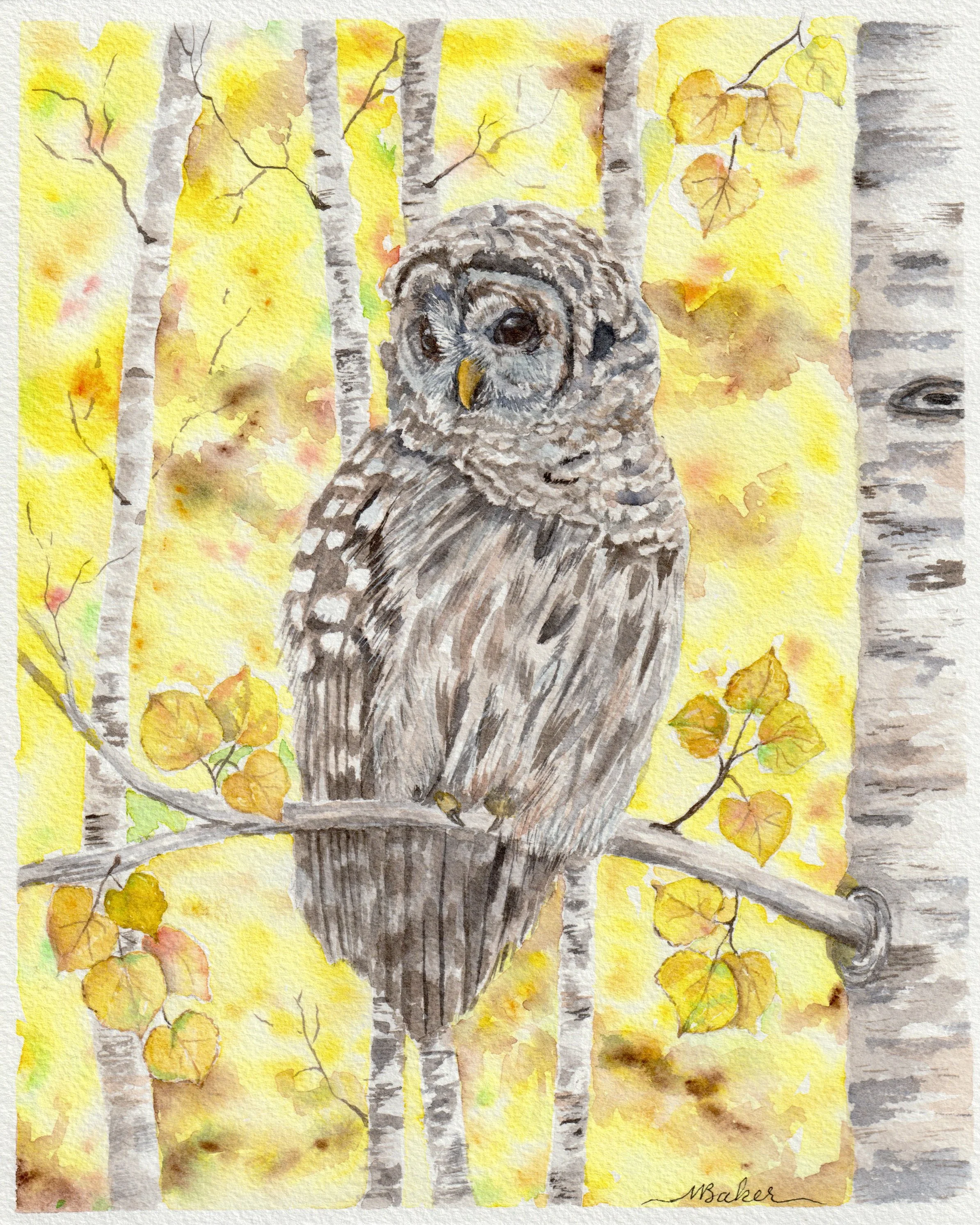 Owl in Aspens painting.jpeg