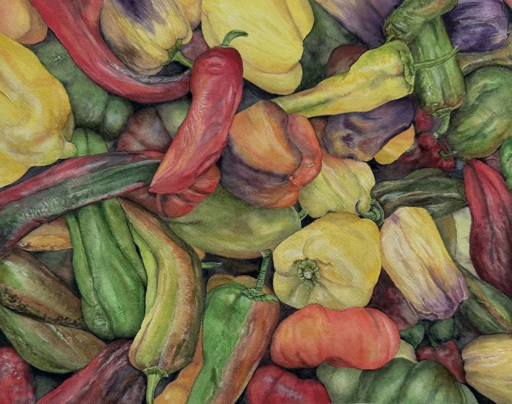 Culinary Rainbow 11x14 watercolor on paper; this painting will be on display and for sale at Dutch Art Gallery in Dallas beginning October 3, 2026.