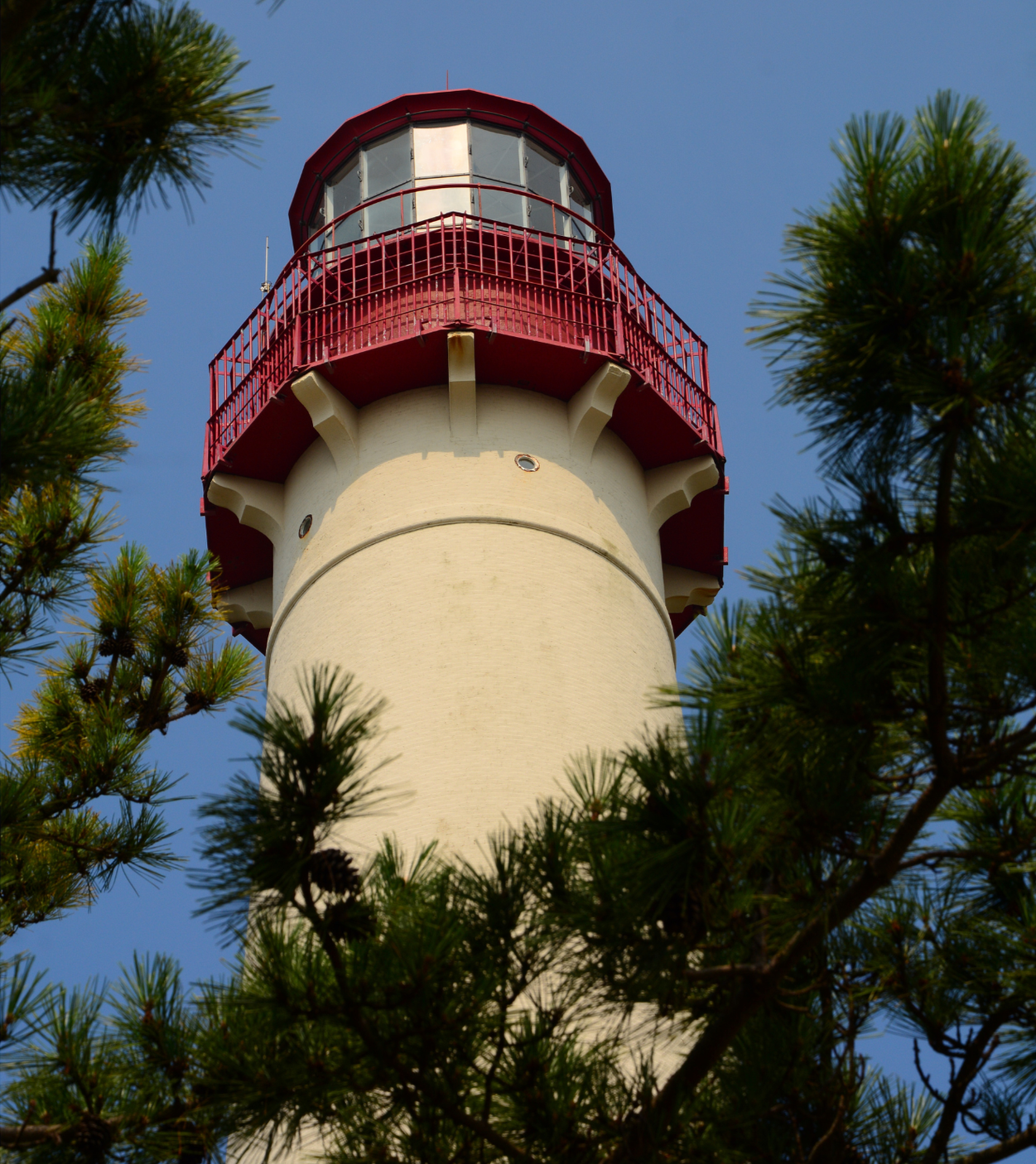 A lighthouse painted in cream color with a red railing around the top, framed by green pine trees, against a clear blue sky.