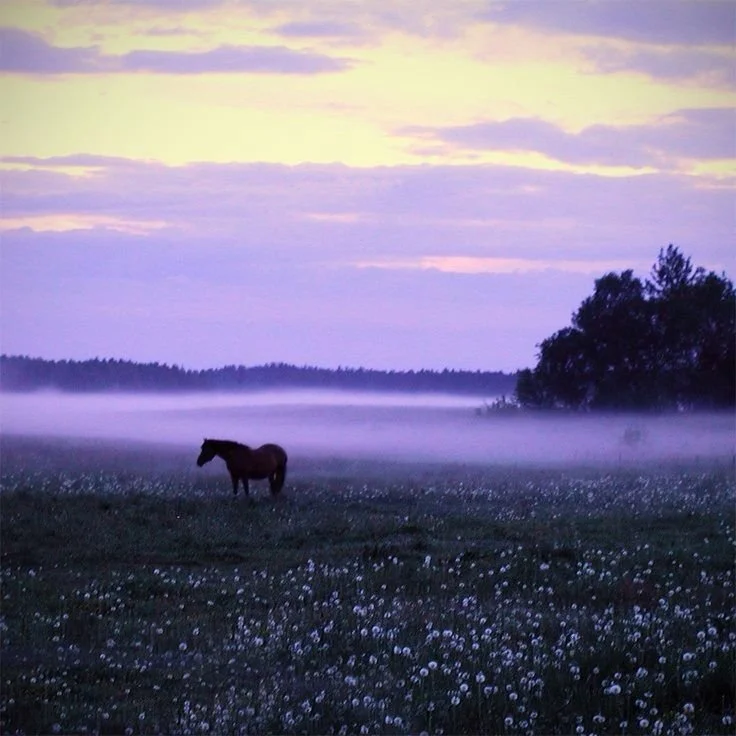 Foundations of CRM® (formerly titled Basic Training) - UK Timezone