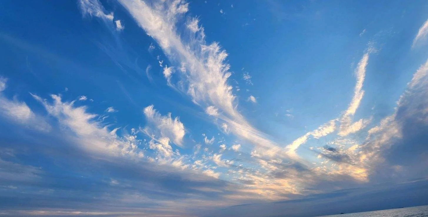 CRM™: Case Conceptualization and Treatment of Severe Dissociative Disorders