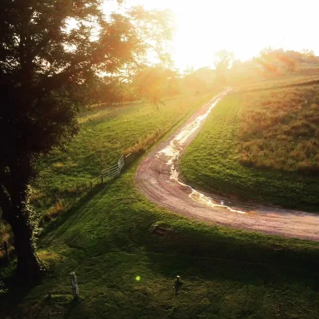 A dirt pathway winding through green grassy land with a large tree on the left and a fence along the side, illuminated by bright sunlight.