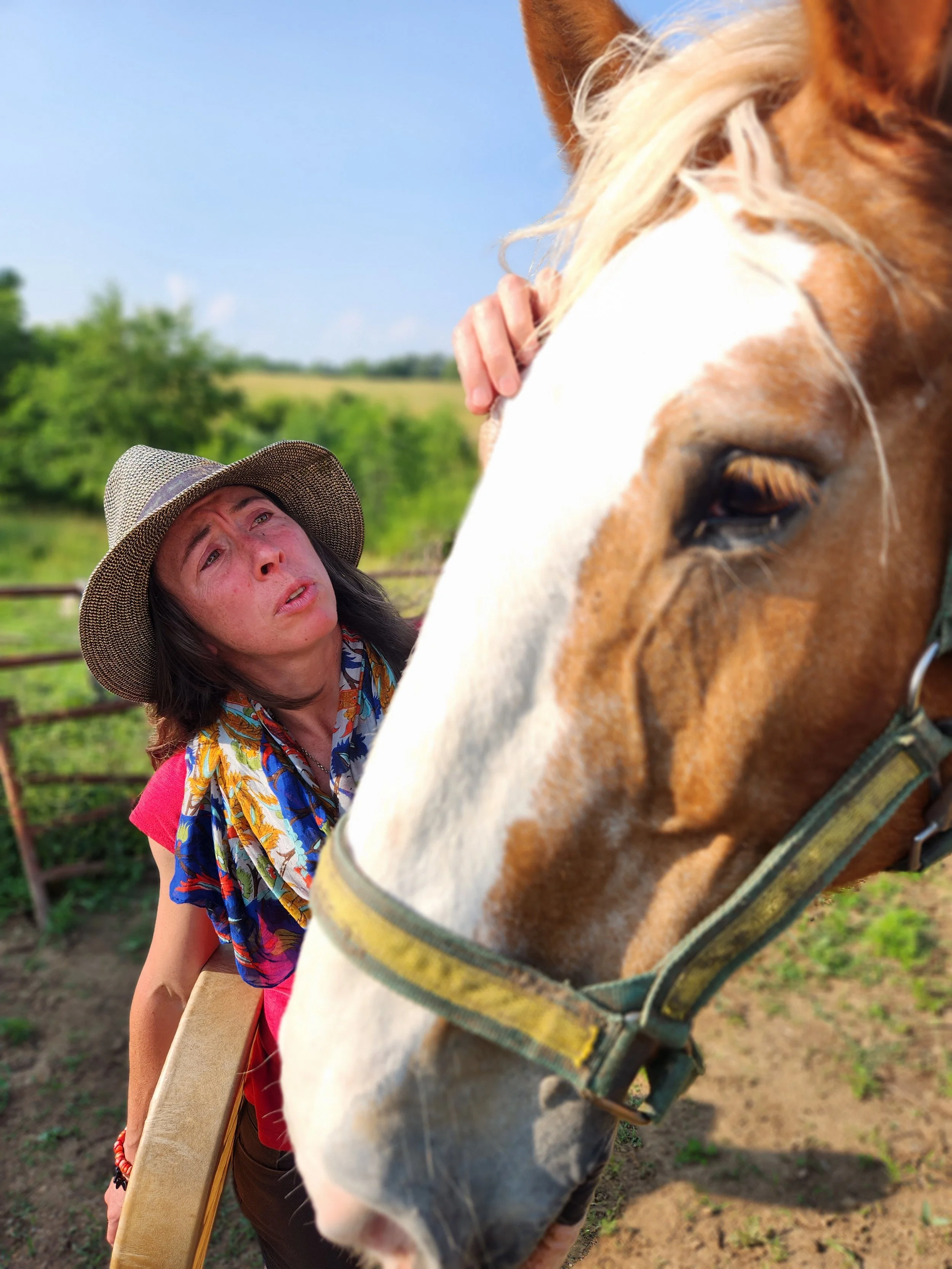A woman in a wide-brimmed hat and colorful scarf petting a brown and white horse outdoors on a sunny day.