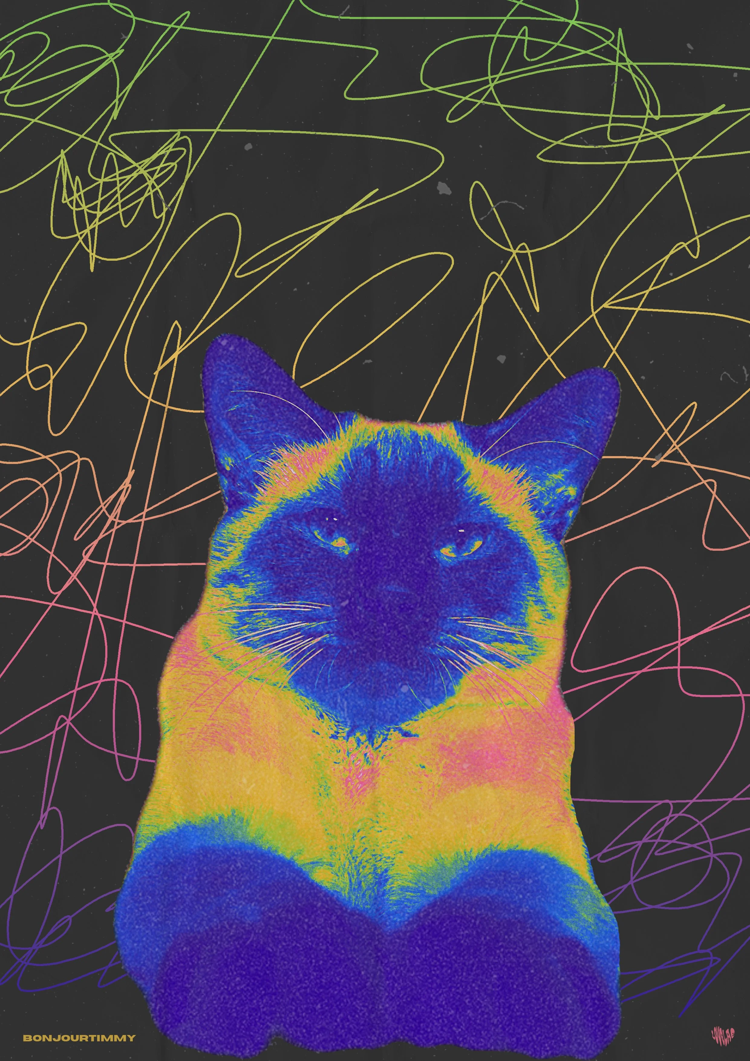 posterfolio - timmy_.jpg