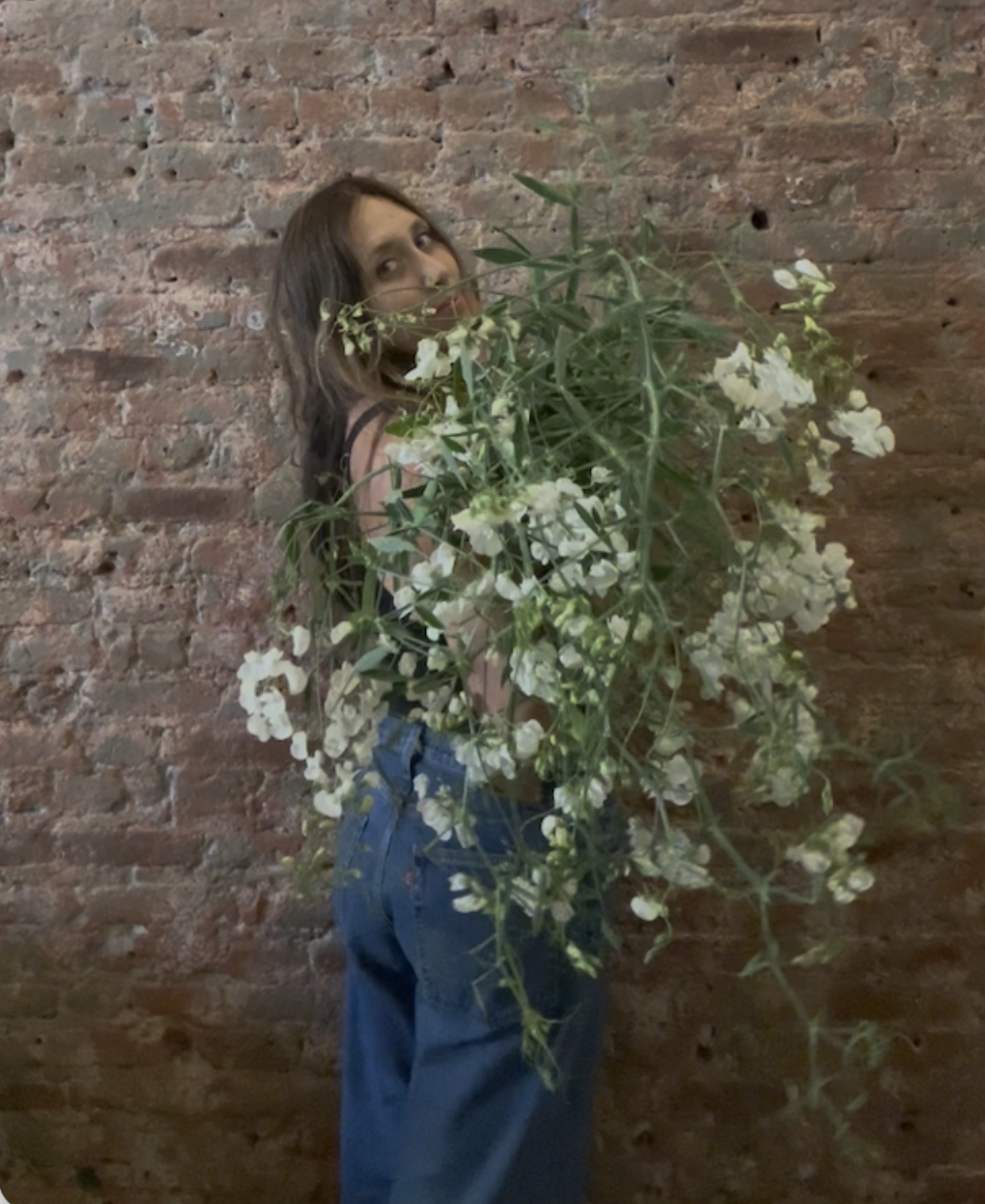 Spring Has Arrived in the Sierras — and the Flowers Know It