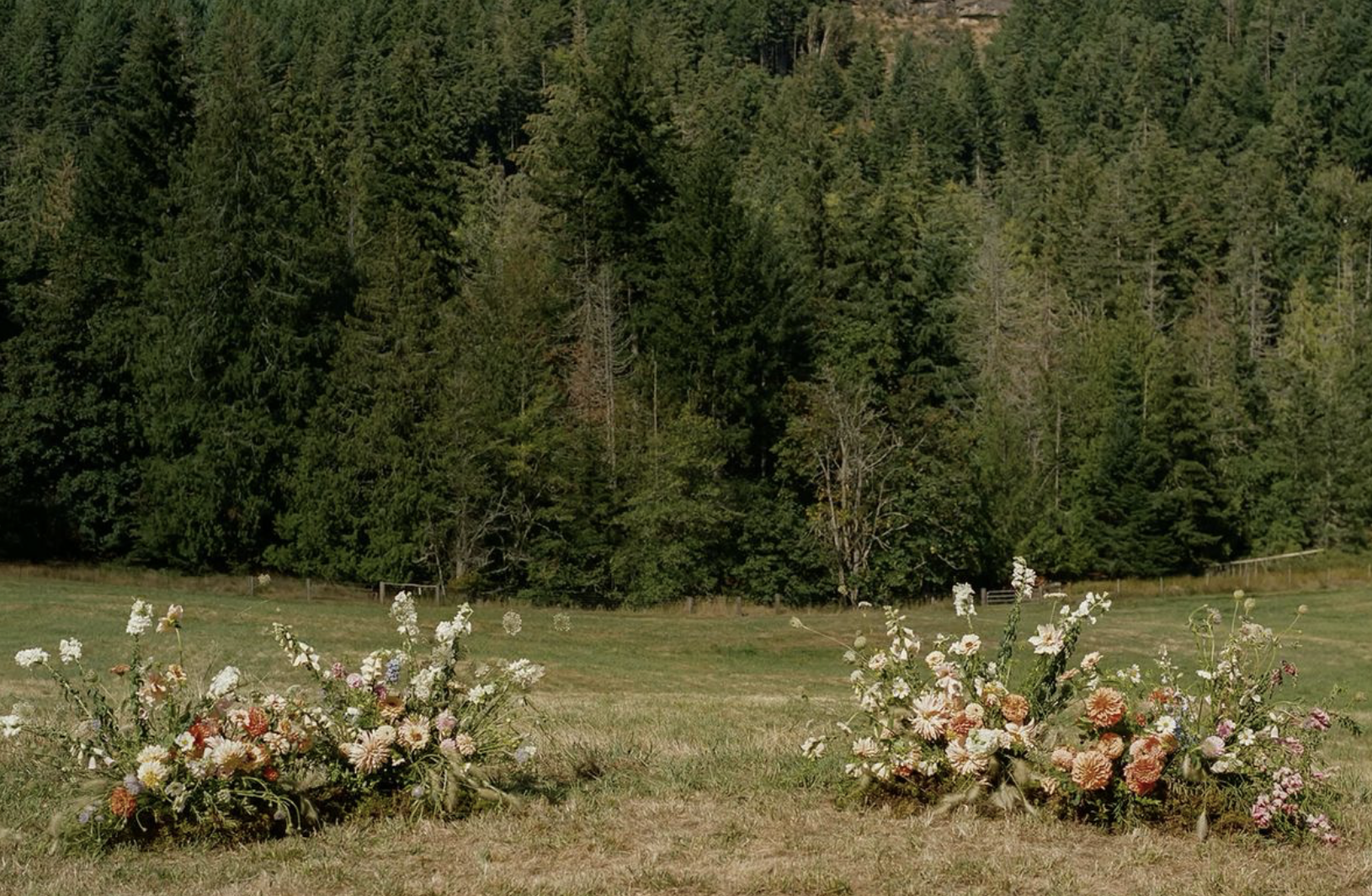 Summer wedding flowers in lake tahoe: what’s in season and what holds up
