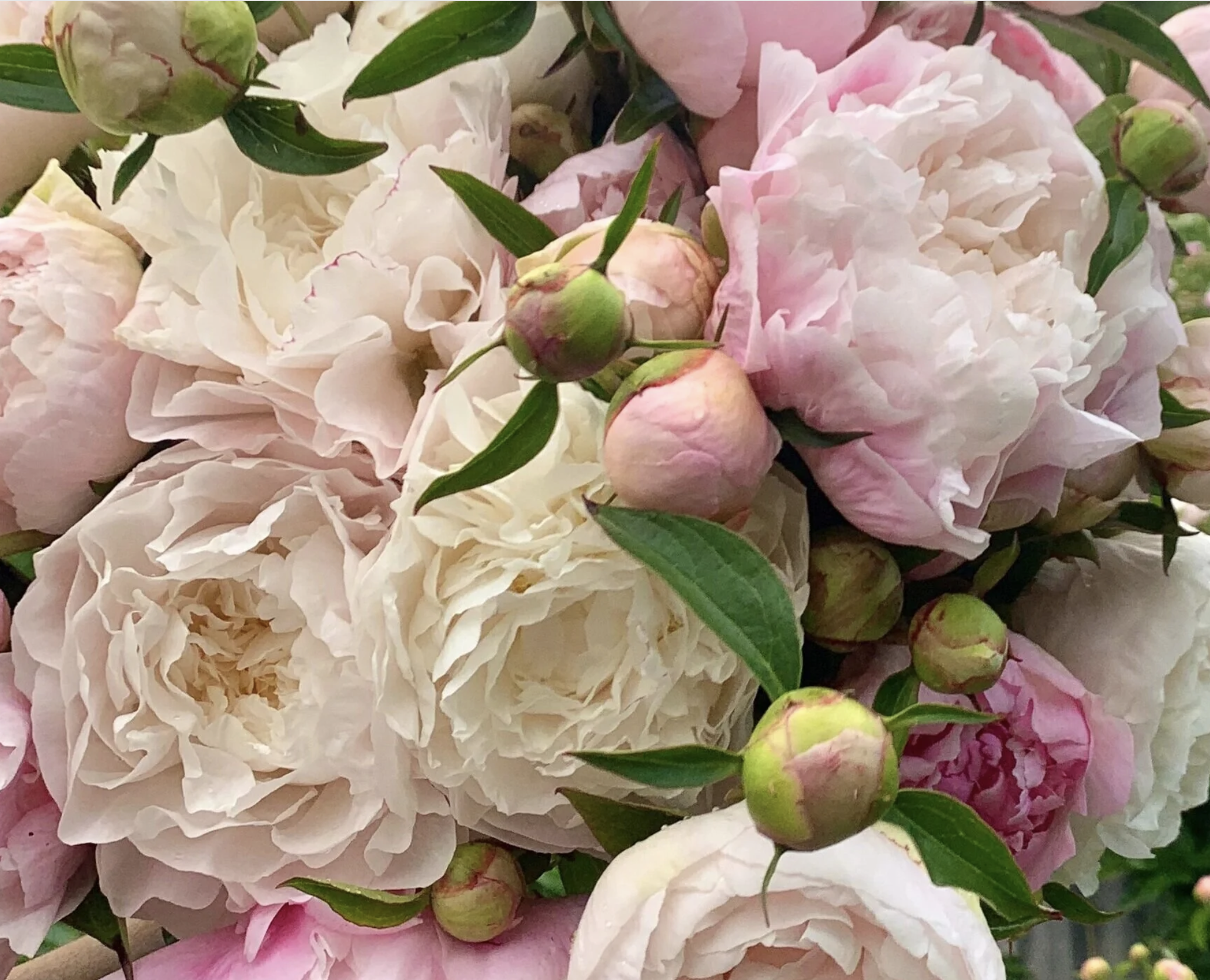 Mother's Day Flower Delivery in Nevada City &amp; Grass Valley: Order Local This May